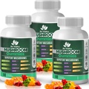 Mushroom Gummies – Lion's Mane, Reishi, Chaga, Cordyceps & More – Meyveli Vegan Gummies – Non-GMO, Gluten-Free, Plant-Based – 3 Packs
