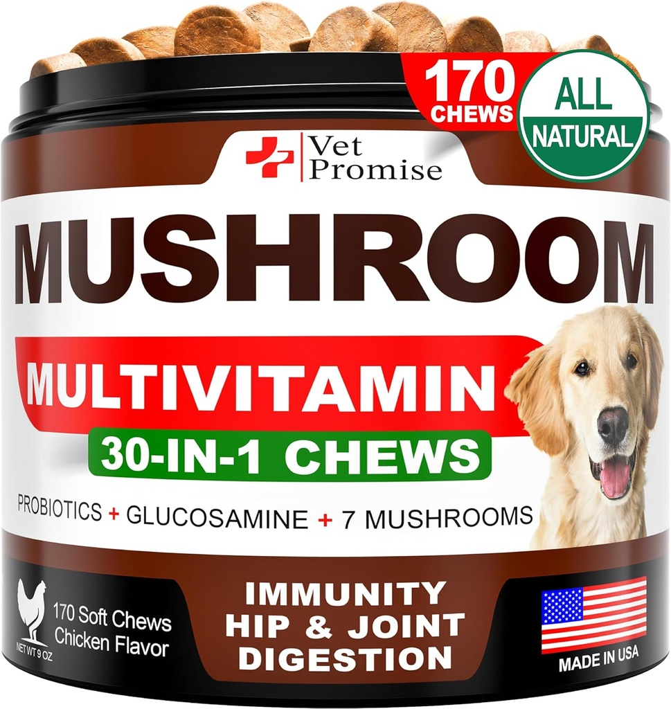 Köpekler için Mushroom - 170 Chews - Türkiye Tail - Köpekler için Mushroom Supplement - Lions Mane - Reishi - Immunity Support Multivitamin Vitaminleri - Ortak Sağlık - Enerji - Gut - Skin - Amerika'da Yapıldı