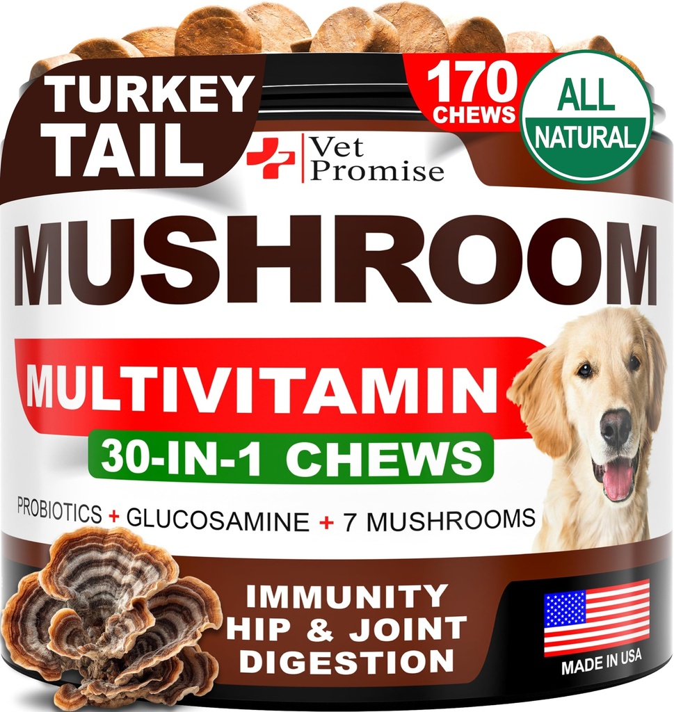 Köpekler için Mushroom - 170 Chews - Türkiye Tail - Köpekler için Mushroom Supplement - Lions Mane - Reishi - Immunity Support Multivitamin Vitaminleri - Ortak Sağlık - Enerji - Gut - Skin - Amerika'da Yapıldı