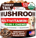 Köpekler için Mushroom - 170 Chews - Türkiye Tail - Köpekler için Mushroom Supplement - Lions Mane - Reishi - Immunity Support Multivitamin Vitaminleri - Ortak Sağlık - Enerji - Gut - Skin - Amerika'da Yapıldı
