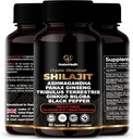Himalaya Shilajit Capsules with Ashwagandha, Ginseng, Tribulus, Ginkgo & Black Pepper – Vegan, Gluten-Free Botanical Gloria for Daily Wellness & Vitality – 60 Capsules