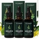 Betterbrand Mullein Lung Detox Drops (3-Pack), 60 ml Tutlein Leaf Tincture with Chlorophyll for Respiratory Health Support - Alkol Özgür - 3 Ay Supply