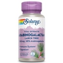 SOLARAY Arabinogalactan, Larch Tree Extract 300 mg | Sağlıklı Gut & Immune System Support | 60 VegCaps