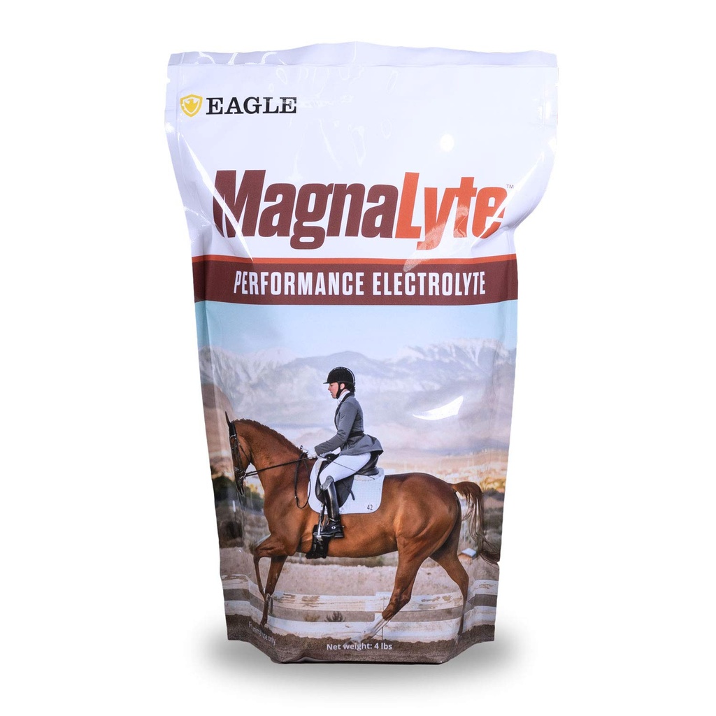 MagnaLyte Loose Salt ve Electrolytes for Horses by Eagle Equine | Mineral deniz Salt, Trace Minerals, Electrolytes | 4 lb Bag
