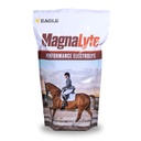 MagnaLyte Loose Salt ve Electrolytes for Horses by Eagle Equine | Mineral deniz Salt, Trace Minerals, Electrolytes | 4 lb Bag