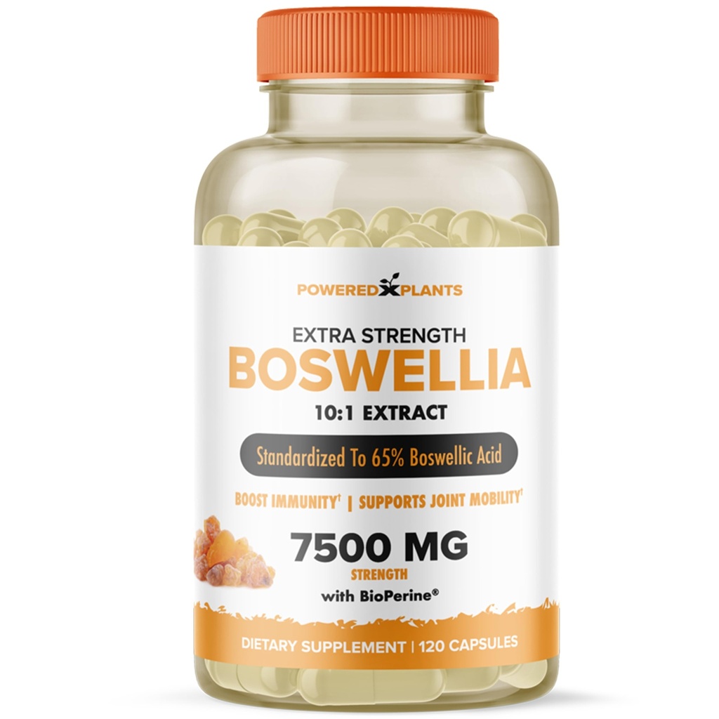 Boswellia Serrata συμπλήρωμα κοινής υποστήριξης εκχυλίσματος από τα φυτά – 65% Υψηλής ισχύος Boswellic Acids με BioPerine – Υποστηρίζει Ανοσία, Κινητικότητα & Ευελιξία – 120 Vegan Κάψουλες