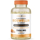 Boswellia Serrata συμπλήρωμα κοινής υποστήριξης εκχυλίσματος από τα φυτά – 65% Υψηλής ισχύος Boswellic Acids με BioPerine – Υποστηρίζει Ανοσία, Κινητικότητα & Ευελιξία – 120 Vegan Κάψουλες