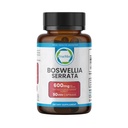 Boswellia Serrata 600mg 65 Boswellic Acid Extract Υποστηρίζει κοινή άνεση, ευελιξία και κινητικότητα Φυσικό συμπλήρωμα ευεξίας βοτάνων Vegan, μη ΓΤΟ, χωρίς γλουτένη 90 κάψουλες Veg.