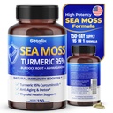 Sotalix Sea Moss Capsule Ashwagandha, Burdock Root, Bladderwrack, Turmeric - Güçlü Doğal Immunity ATM - ABD Made (150 Kont)