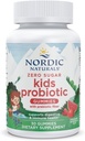 Nordic Naturals Zero Sugar Kids Probiyotik Gummies - Strawberry Watermelon Flavor - 30 Gummies - Supports Digestive Wellness & Immune Health - Non-GMO - Üçüncü Parti Test Edildi - Vegan - 30 Hizmet