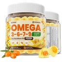 Omega 3-6-7-9 Gummies, Organik Sea Buckthorn Oil 1200MG & Flaxseed Oil 500MG, Vegan Omega 7 Supplement w/Vitamin A, C, E, Fatty Acids, No Fish Taste, Supports Skin, Eye, Immune, Brain Health, 60 Cts