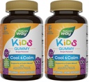 Nature's Way Kids Cool & Calm Gummies, 8+*,Lemon Balm,Magnesium,Vitamin B6,L-Theanine,Grape Flavored,Vegetarian,(Package May Vary)40 Count (Packing 2)