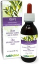 Naturalma Olive (Olea europaea) Leaf Alkol Ücretsiz Tincture - 4 fl oz Sıvı Ekstraksiyon - Herbal Supplement - Vegan