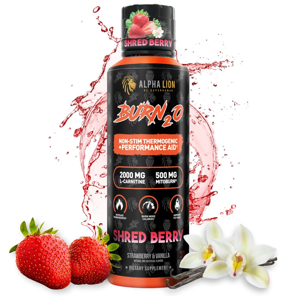 ALPHA LION Burn2O L-Carnitine Liquid 2000 mg, Premium Liquid Fat Burner & Pre-Workout Supplement for Men & Women - Natural Energy & Metabolism Branson for Kilo Kaybı - SpedBerry