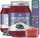 Sea Moss Gel - 18.5oz Blueberry Flavor Raw Nutritious Sea Moss Gel Minerallerde, Proteinler ve Vitaminler, Vegan-Friendly, 2 Tablespoon Daily