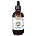 Hawaii Pharm Echinacea Alcohol-Free Liquid Extract, Echinacea (Echinacea Angustifolia) Dried Root Glycerite Natural Herbal Supplement 2 oz