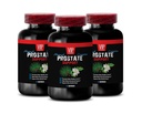 Saw Palmetto for Prostate Health - Prostate Support - Pygeum for Prostate Wellness, Red Raspberry and Wellness, Graviola Leaf for Prostate Health, Green Tea for Prostate Wellness 3Bot 180Caps