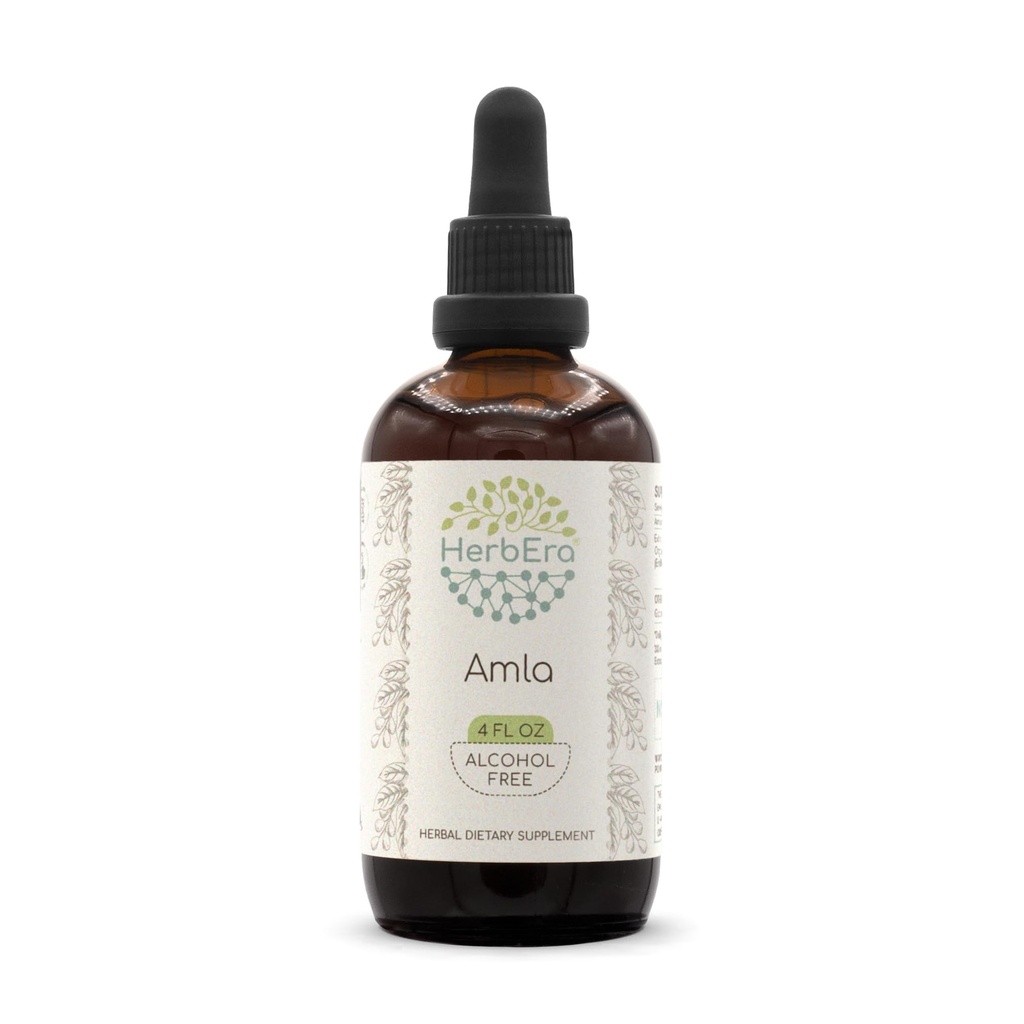 Amla B120 Alcohol-Free Herbal Extract Tincture, Concentrated Liquid Drops Natural Amla (Emblica officinalis) Dried Fruit (4 fl oz)