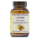 Pine Pollen | Cracked Cell Wall Powder | 400mg per Capsule | 60 Veggie Capsules | Pure Masson Pine | Stamina and Vitality Booster | Skin Radiance | Stearate Free