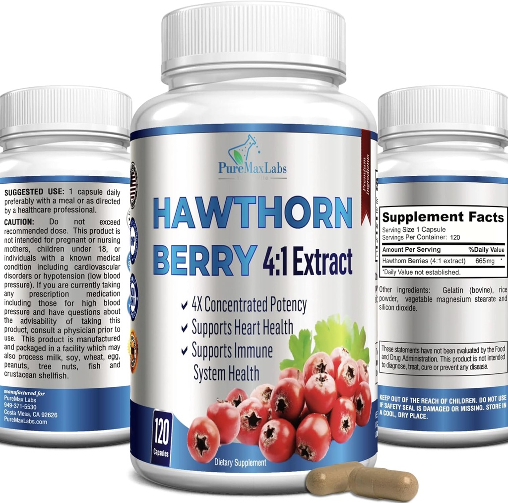 Hawthorn Berry 4:1 Extract (120 Κάψουλες) Υποστήριξη ανοσοποιητικού συστήματος, Super Antioxidant, Hawthorn Berry Κάψουλες συμπυκνωμένες από 2660mg μούρα