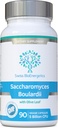 Saccharomyces Boulardii 5 Milyar CFU 90 Capsules - Soğutma Gerekli - En Yüksek Kuvvetli Soğutmalı Zeytin Broşürü, Biotin ve D33