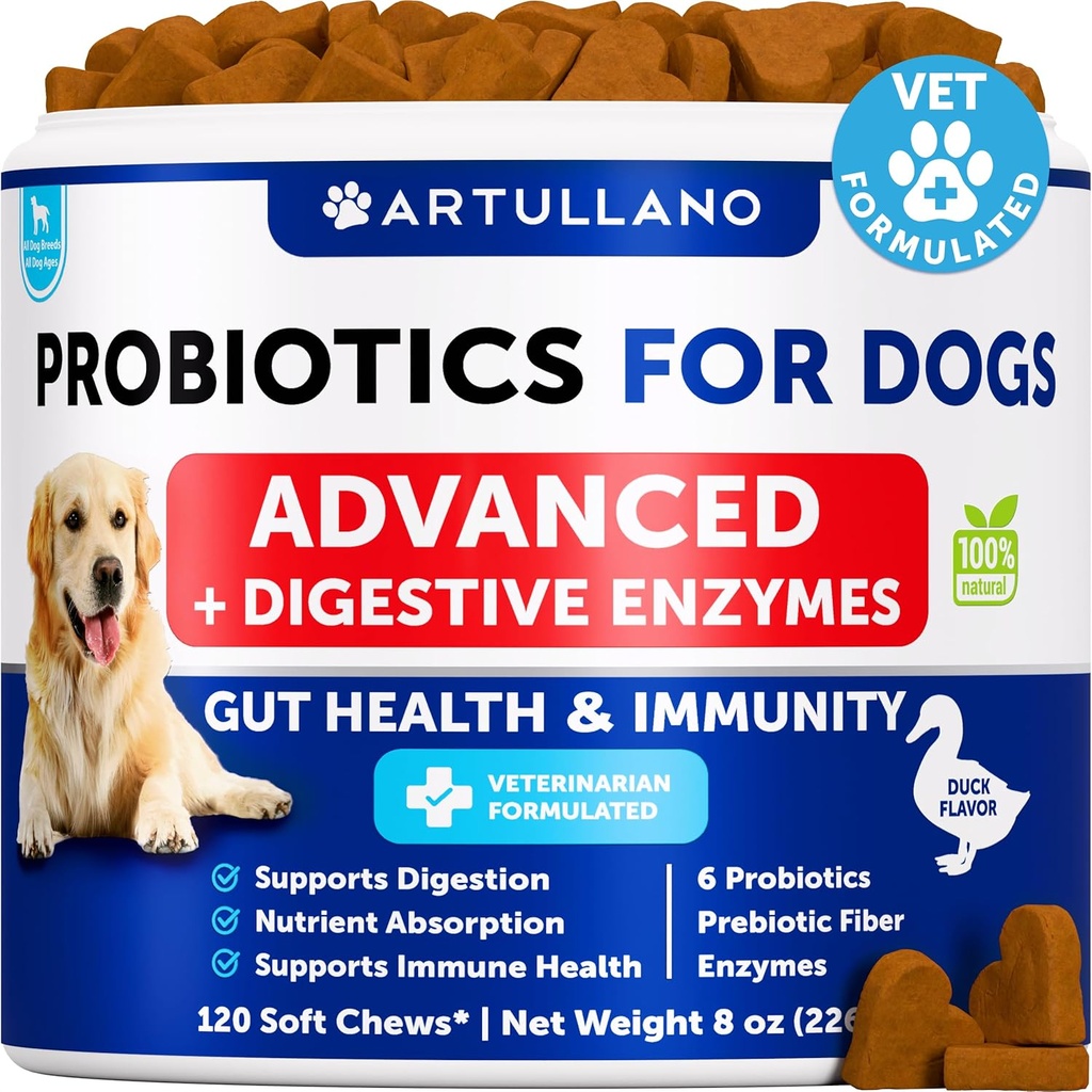 Köpekler için Probiyotikler - Gut Health, Itchy Skin, Allergies, Immunity, Yeast Balance - Dog Probiyotiks and Digestive Enzymes with Prebiyotiks - Diarrhea, Gas - 120 Probiyotik Chews for Dogs
