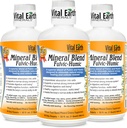 Vital Earth Minerals Fulvic Humic Mineral Plastik 3Pack - 70+ Trace Mineralleri ile Fulvic Acid Supplement, Electrolytes for Recovery, Balance & Energy, 32 Oz Ea + 1 Oz Cup Ea