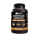 Αμιγώς πρωτότυπα συστατικά Boswellia Serrata (365 κάψουλες) Όχι Μαγνήσιο ή Ρύζι Fillers, Πάντα Αγνή, Εργαστήριο Επαληθευμένο