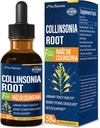 Collinsonia (Stone Root) σταγόνες για την ούρα Φυλλαδική Υγεία, φυσικό φυτική φόρμουλα συμπλήρωμα w/Stone Breaker Chanca Piedra Extract Υποστήριξη Νεφρόλιθοι Disolver & Detox Cleanse. 2oz