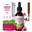 Lymphatic Drainage Supplements Drops for Immune, Lymph System Support, Cleanse & Detox, Liver Health with Echinacea,Elderberry,Cleavers Herb,Burdock, Calendula, Non-GMO, Raspberry Flavor, 2 Fl Oz