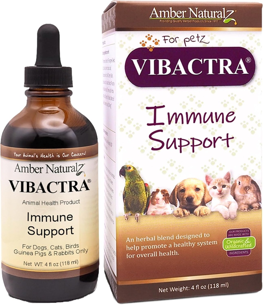 Amber NaturalZ Vibactra Immune Support Herbal Supplement for Dogs, Cats, Birds, Gine Pigs ve Tavşanlar | Pet Herbal Mix for General Health | 4 Akışkan Ounce Glass Şişe | ABD'de Üretilen