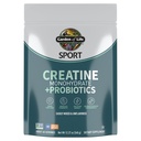 Creatine Monohydrate Powder for Women and Men by Garden of Life, Micronized Pre Workout with Probiotics for Muscle, Strength, Performance, Sport Amino Energy, Περίπου 60 Εύκολα Αναμιγνύονται Άγευστες Υπηρεσίες