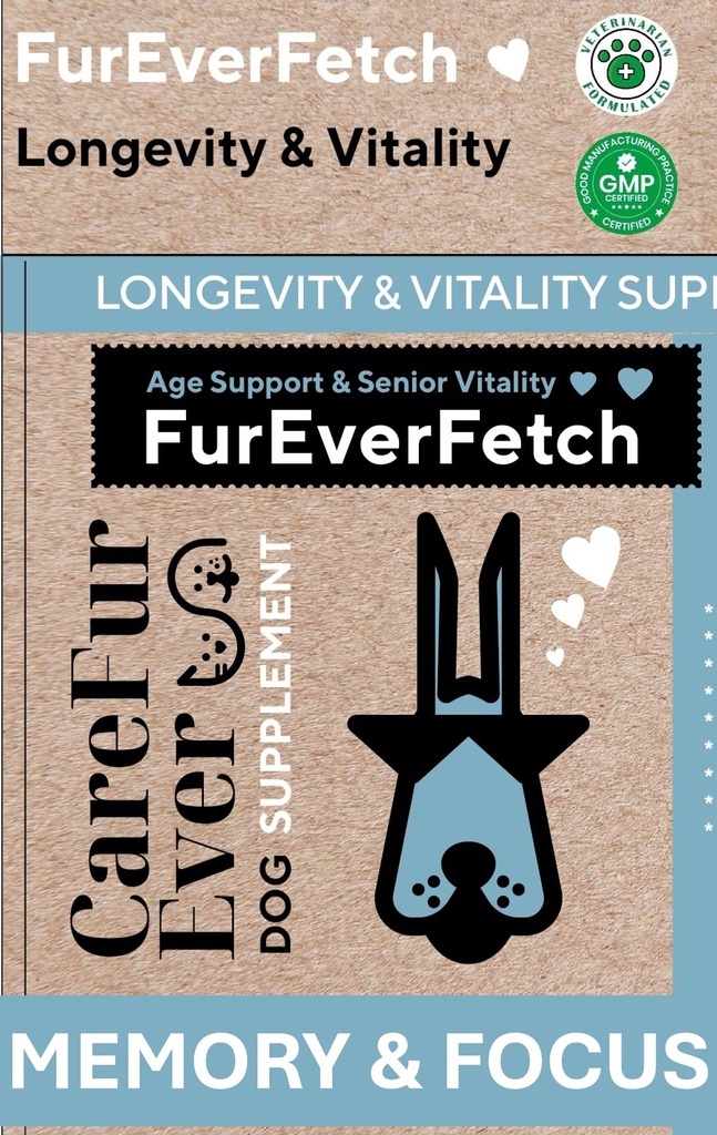 Senior Dogs Brain & Vision Support | Slows Cognitive Decline with Lion's Mane & Turkey Tail | Veterinary-Grade Nootropic Formula | Memory, Focus & Immune Health | 30 Chews
