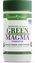 Yeşil Gıdalar Orijinal Yeşil Magma Barley Grass Beslenme Supplement, 250 Tablet (500 mg Ea) Sertifikalı Organik Organik