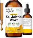 Wild & Organic St Johns Wort Tincture - Mood Support - Relaxing St. John's Wort Supplement - Liquid Hypericum Perforatum Herb Drops - Vegan, Sugar & Alcohol-Free - 2 fl oz