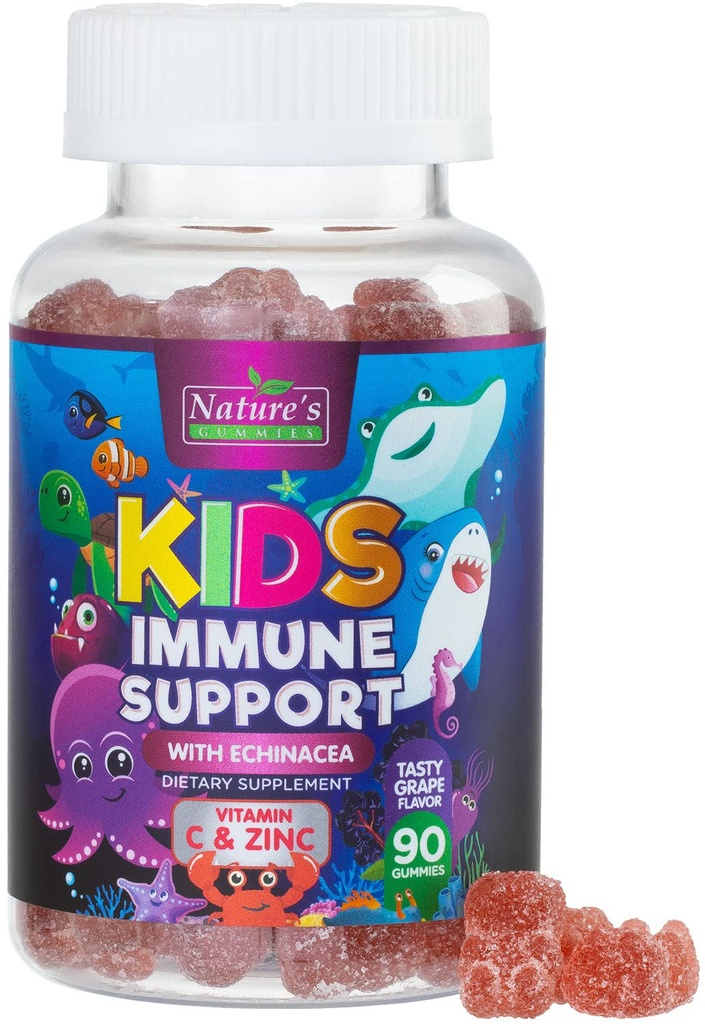 Çocuklar Immune Support Supplement Gummies - Daily Childrens Vitamins C, çinko & Echinacea - Çocuklar için Gummy Immunity Support, 4 ve Up, Natural Berry Flavor, Non-GMO, Gluten-Free & Vegan - 90 Gummies