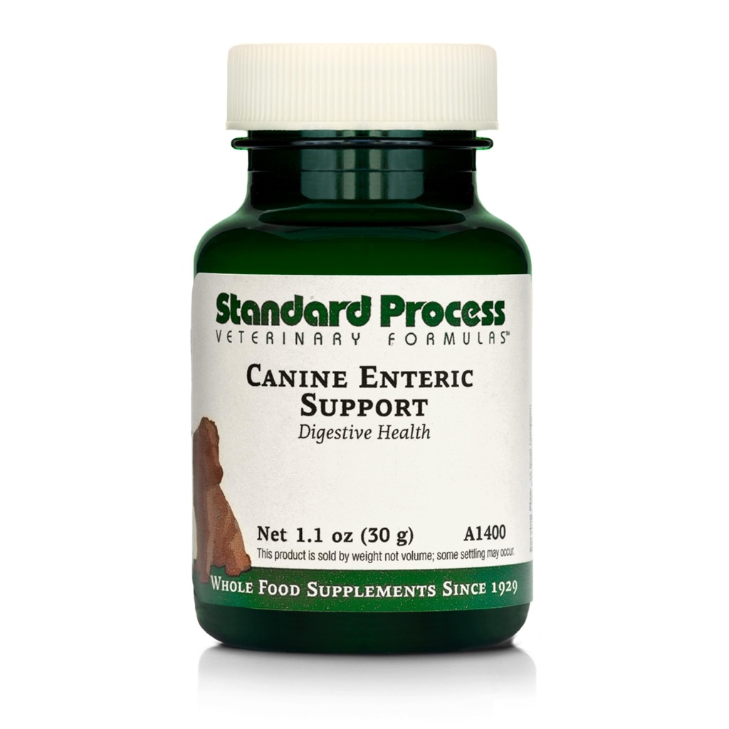 Standard Process Inc. Canine Enteric Support - Digestive System Support for Dogs - Nutritional Dog Supplement for Gut Health - Canine Supplement Formula to Aid Healthy Digestion - 30 g
