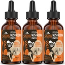 Λιποσωμικό Mushroom Complex Drops 2000 MG - 20 Βιολογικά Mushroom Extracts - Προηγμένη Υγρή Φόρμουλα για Ανοσία, Γνωστική και Μνήμη - Lions Mane Supplement, Reishi, Cordyceps, Chaga, 90 Services