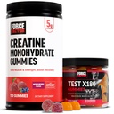 Force Factor Creatine Gummies, 5 Grams Creatine Monohydrate for Muscle Gain, Mixed Berry Test X180 Gummies Testosterone Booster for Men with Tongkat Ali, Berry Punch, 60 Gummies, 1-Pack