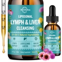 Liposomal Lymphatiage Drops, Liver Cleanse Detox & Tamir Sıvı Supplement with Milk Thistle, Dandelion, Burdock Root & Echinacea - Lymph & Liver Detox, Antioksi, Natural Flavor 2 Fl Oz