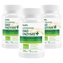 DAO Supplements Histamine Blocker – DAO Enzyme + Diamine Oxidase & Quercetin, Immortelle, C for Gut Health and Food Support 180 Capsules