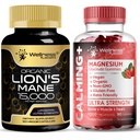 WELLNESS LABSRX Lions Mane Supplement Capsules - Magnesium Glycinate Gummies 1000mg | Bundle
