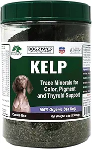 Dogzymes Organic Norveç Kelp for Pets, Iodine'de Gland Fonksiyonlarını Desteklemek için değerli bir Beslenme Kaynağı, özellikle de Tiroid (3 Pound)