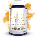 Nootropics Depot Hesperidin Capsules | 500 mg | 180 Count | 90 Citrus Extract | Supports Metabolic Function + Cardiovascular Health