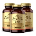 Solgardis Magnezyum Plus çinko, 100 Tablet (Paket 3 ) - Sağlıklı Kemikleri ve Dişleri Destekler - Nerve & Muscle Function - Non-GMO, Vegan, Gluten Free, Dairy Free, Kosher - 100 Toplam Hizmetler