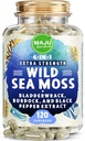 MAJU Wild Irish Sea Moss Capsules (120ct), Stronger Than Gel, 4-in-1 w/Bladderwrack + Burdock Root, Organic, Sebi Inspired, Raw, Seamoss Pills Powder, Wild, (2-Pack)