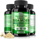 İrlandalı Deniz Moss Capsules 120ct Raw Sea Moss Wildcrafted Bladderwrack Burdock Root Capsules Super Food Immune System Digestive Health Sea Moss Pills