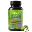 24 in 1 Soursop Graviola Capsules - Herbal Supplement with Shilajit, Sea Moss, Turmeric, Ashwagandha - Vegan, Non-GMO, 60 Capsules (1)