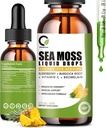 Sea Moss Drops 2000 mg, İrlandalı Deniz Moss Supplement Supports Immunity, Black Elderberry, Burdock Root, Bromelain, C & çinko, 2 Fl.Oz, Pineapple Flavor