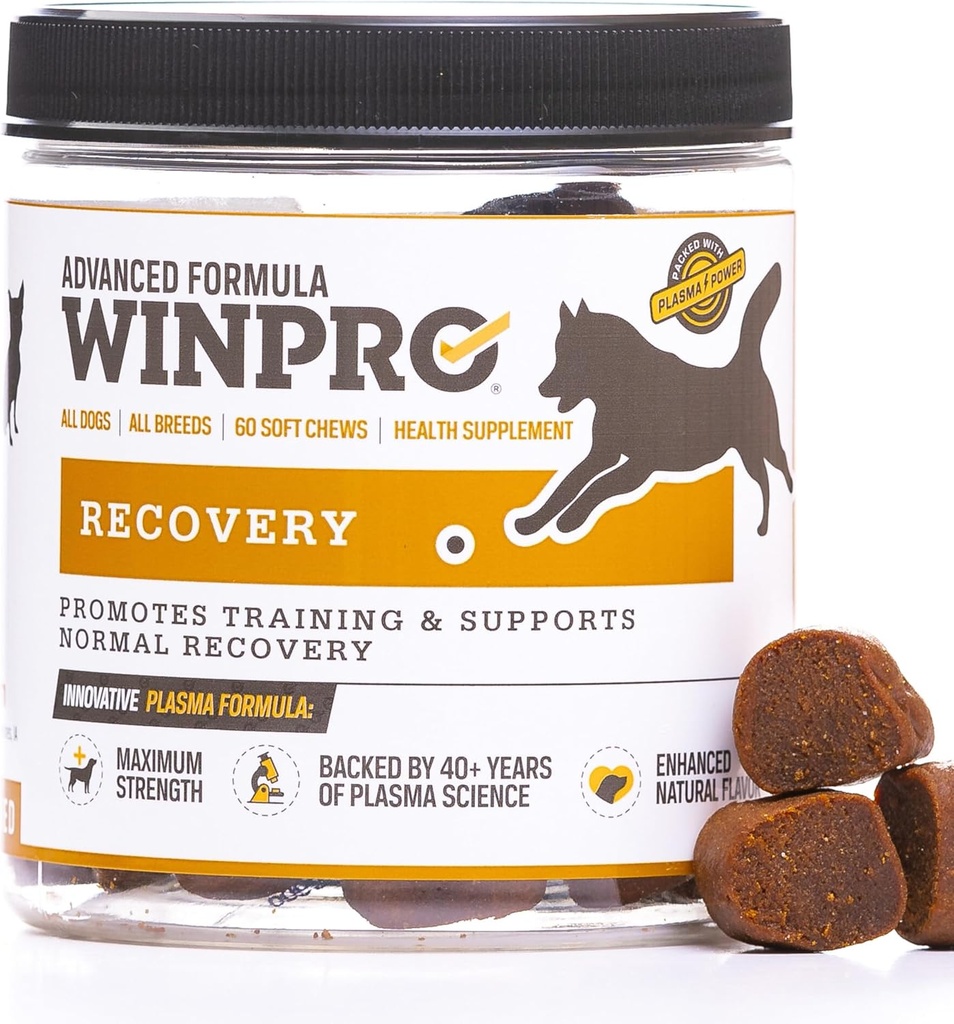 WINPRO Chews αποκατάστασης για σκύλους, Plasma-Powered για ενεργούς σκύλους, υποστήριξη ανοσοποιητικού συστήματος, και Dog Training Υποστήριξη για τον ανταγωνισμό και τον αθλητισμό αποκατάσταση μυών και ευκινησία, 60 Count, Made in USA